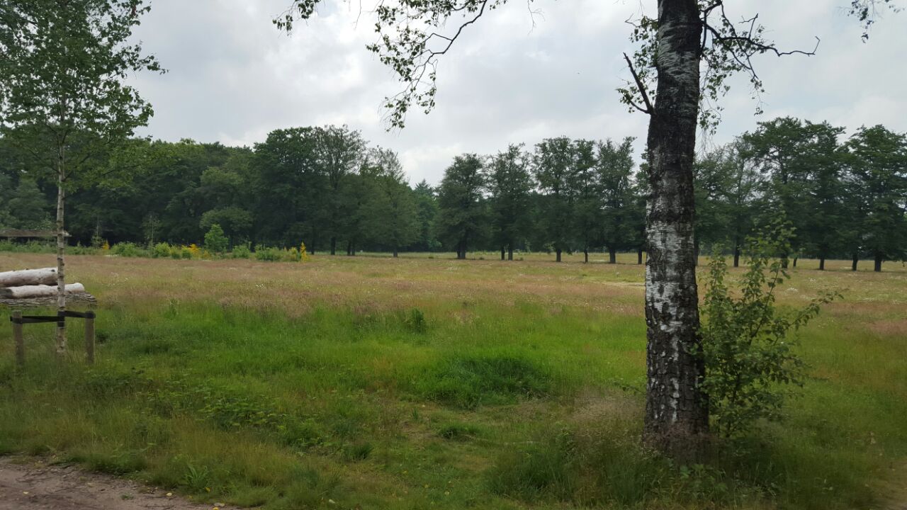 Natuurlijke omgeving van Natuurbegraafplaats Heidepol