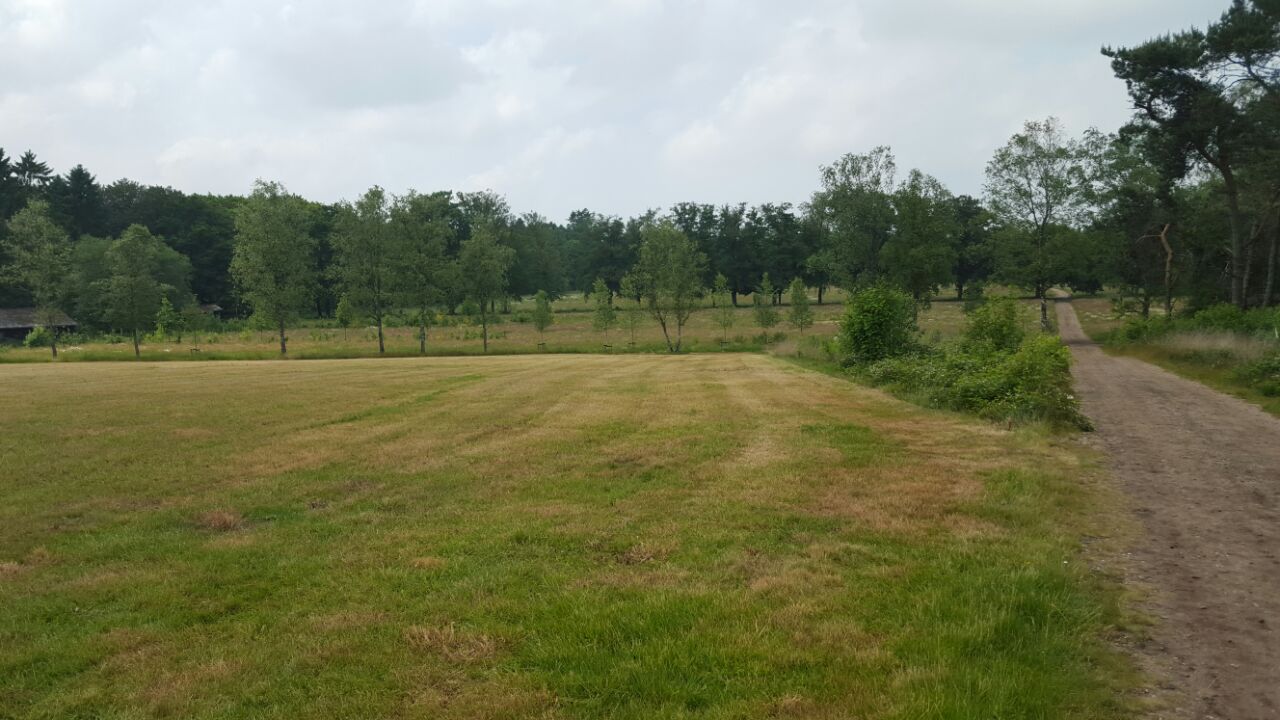 Bos en open landschap op Natuurbegraafplaats Heidepol